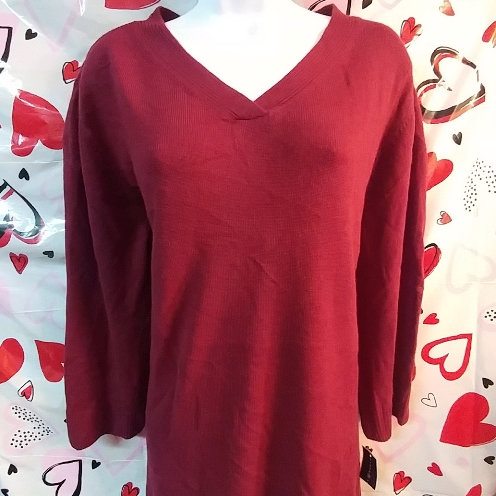 Karen Scott Womens v-neck sweater Sz XXL
